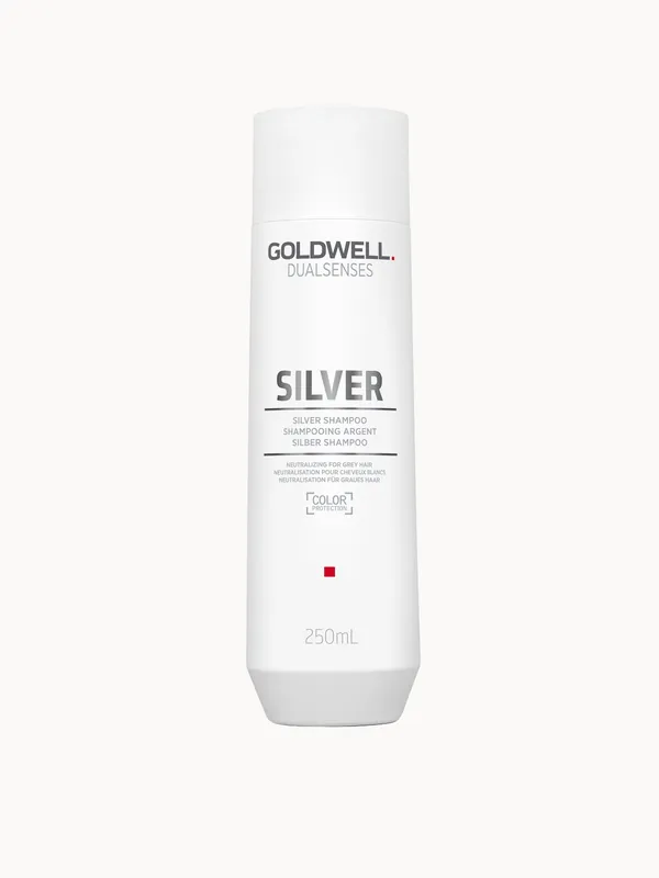 Goldwell Dualsenses Silver Shampoo For Grey & Cool Blonde Hair 250ml - Matrix