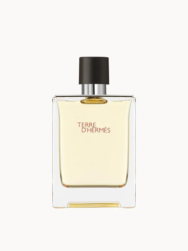 Hermès Terre d'Hermès Eau de Toilette 100ml - lookfantastic Beauty Box