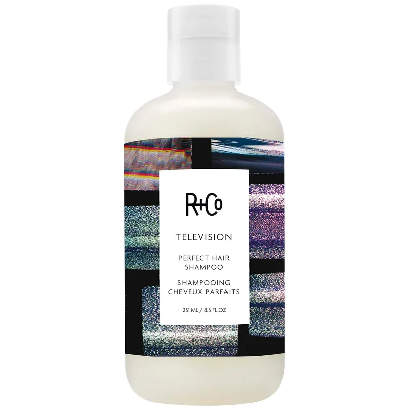 R+Co TELEVISION Perfect Hair Shampoo (8 fl. oz.)