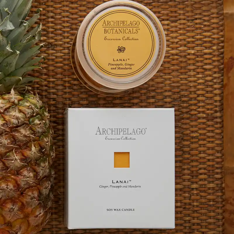 Archipelago Soy Wax Candle 270 g / 9.5 oz | Excursion Collection - Lanai