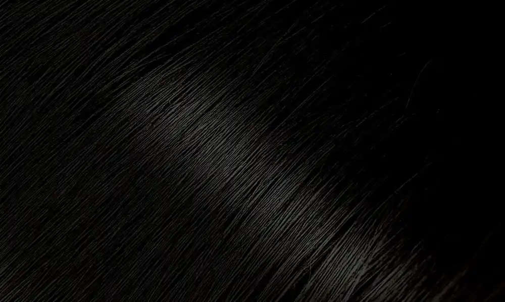 Bigen Permanent Powder Hair Color - 58 Black Brown