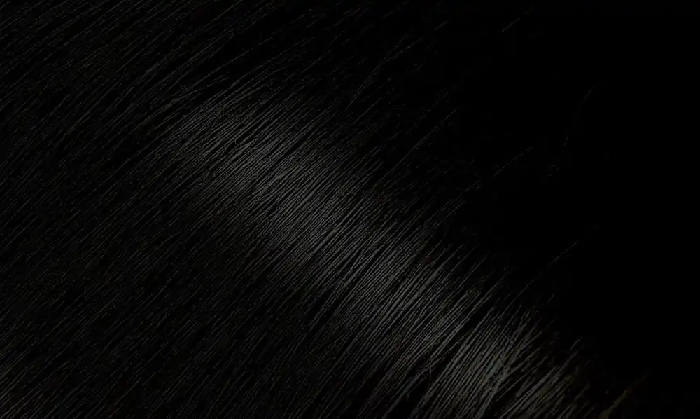 Bigen Permanent Powder Hair Color - 59 Oriental Black