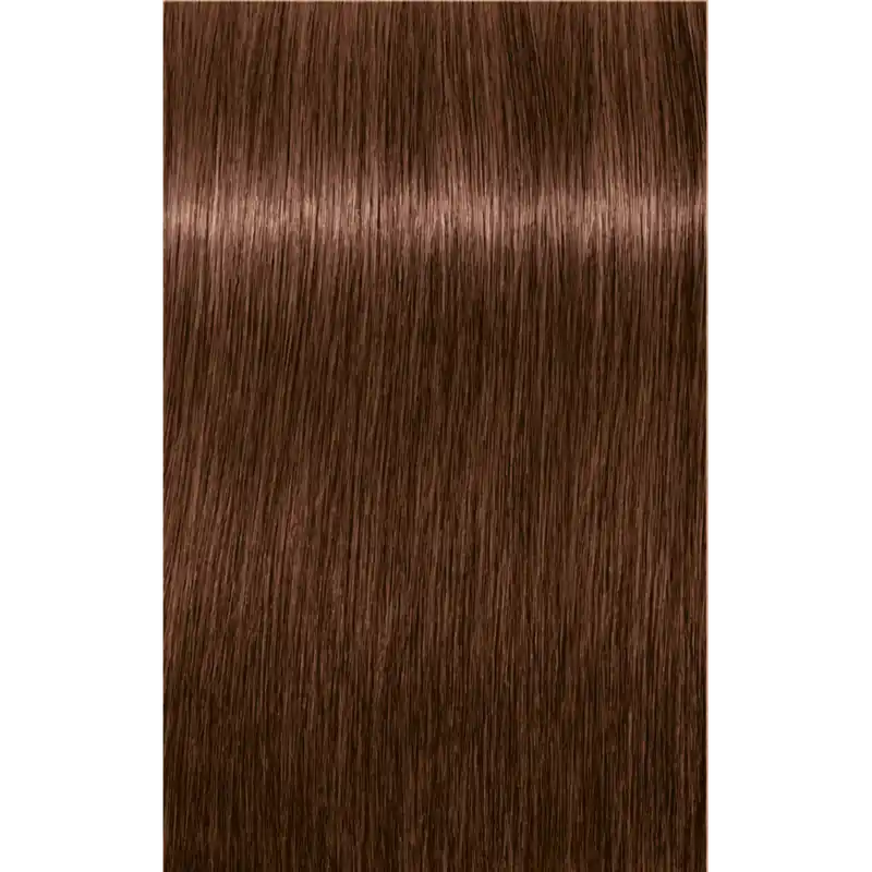 Schwarzkopf IGORA ZERO AMM Ammonia-Free Permanent Color Creme 2 oz - 6-68 Dark Blonde Chocolate Red