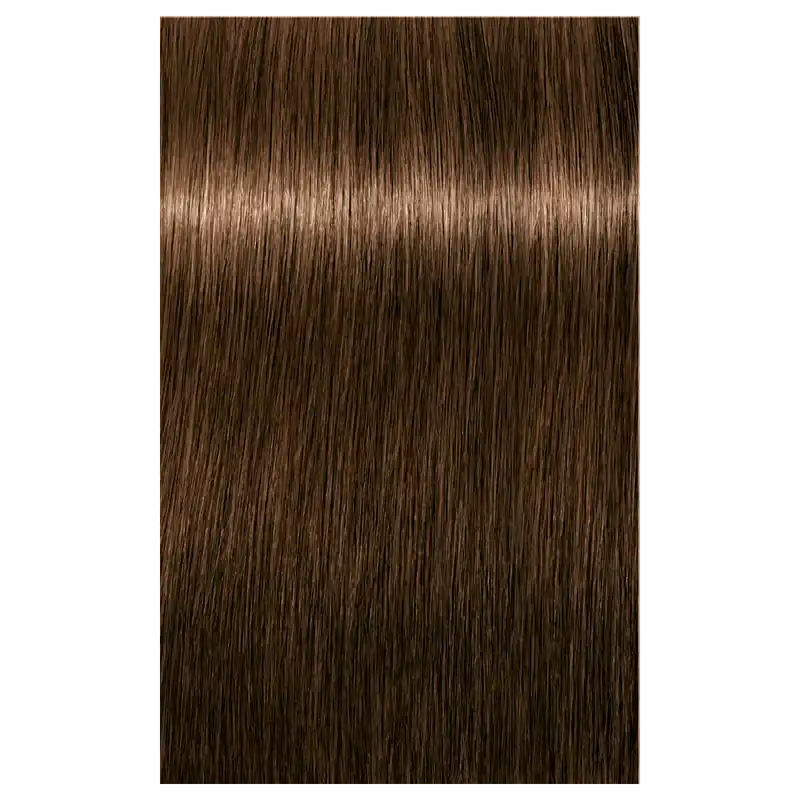 Schwarzkopf IGORA ROYAL ABSOLUTES Permanent Anti-Age Color 2.1 oz / 60 g - 5-50 Light Brown Gold Natural