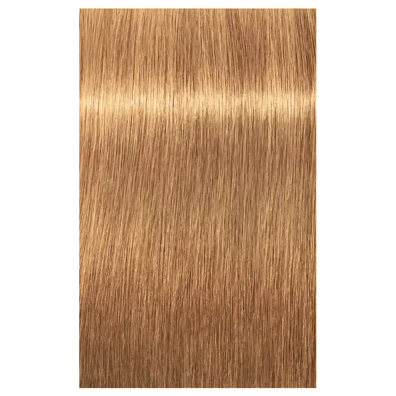 Schwarzkopf IGORA ROYAL ABSOLUTES Permanent Anti-Age Color 2.1 oz / 60 g - 9-50 Extra Light Blonde Gold Natural