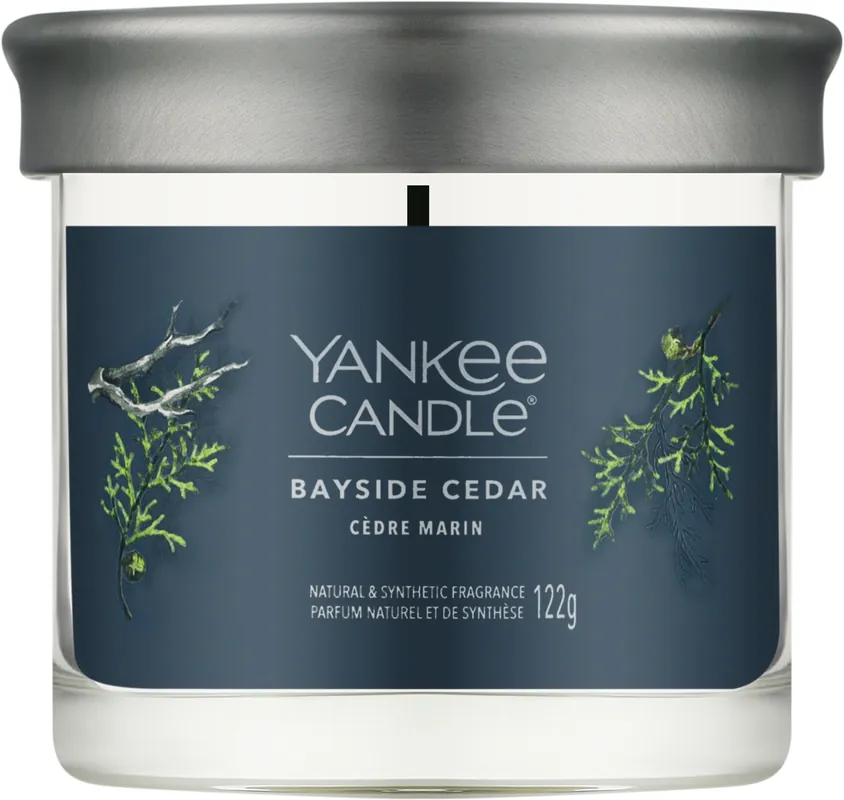 Scented Candle in Glass 'Bayside Cedar' - Bath and Body