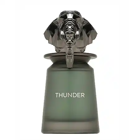 French Avenue Thunder - Perfume