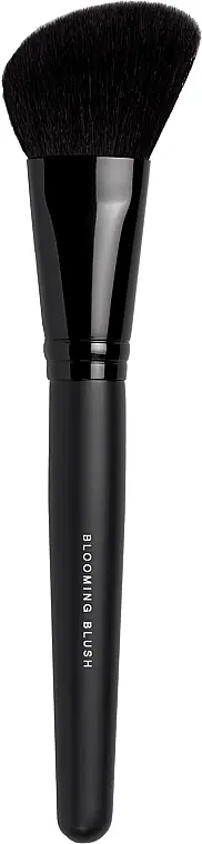 Blush Brush - Accessories