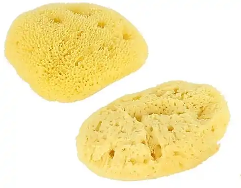 Shower Sponge Set, 7.62 cm - Accessories