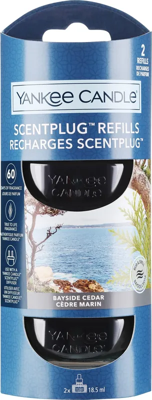 Electric Aroma Lamp Refill 'Cedar' - Bath and Body