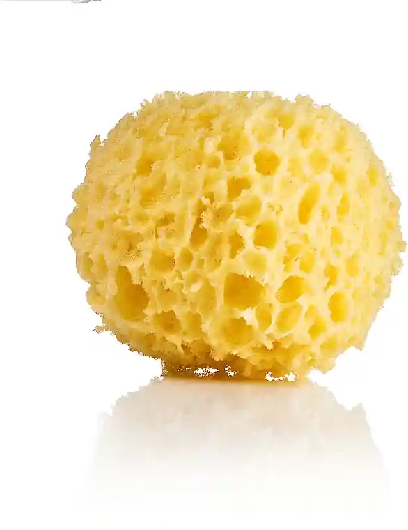 Bath Sponge - Accessories
