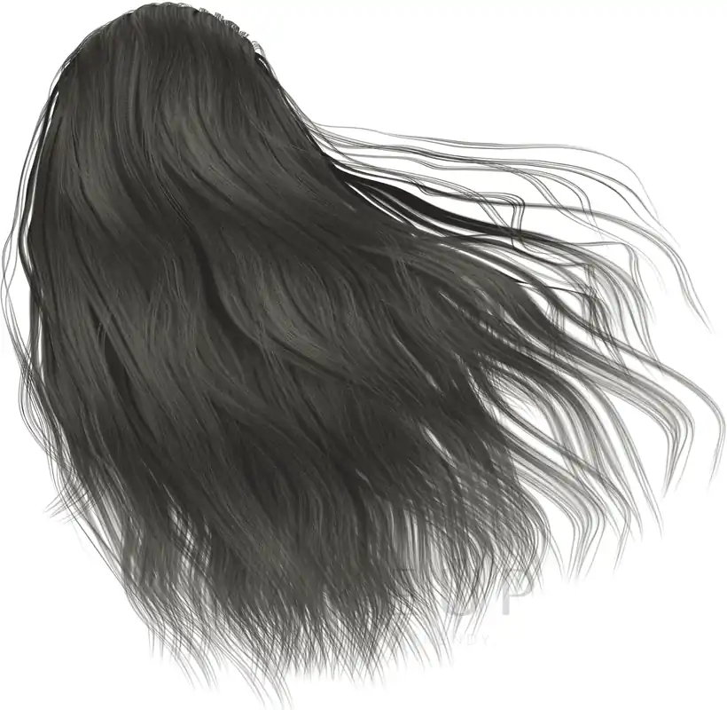 Hair Color