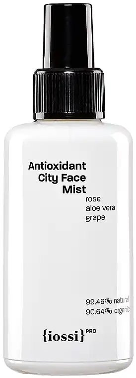 Antioxidant Face Mist - Skin Care Products