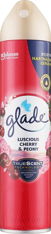Air Freshener - Bath and Body