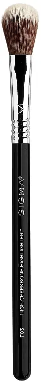 Highlighter Brush F03 - Accessories