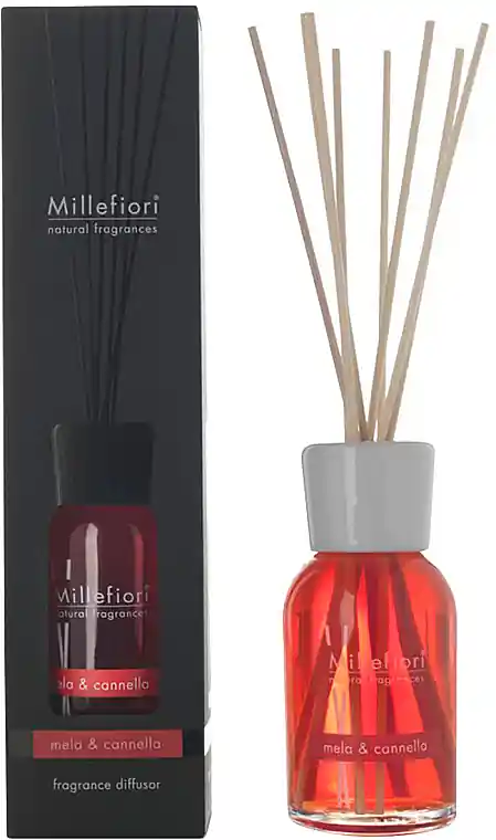 Apple & Cinnamon Reed Diffuser - Bath and Body