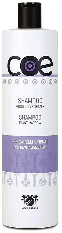 Shampoo - Hair