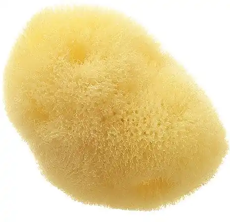 Natural Sea Sponge 'Fina Silk Sea Sponge, 7-9 cm