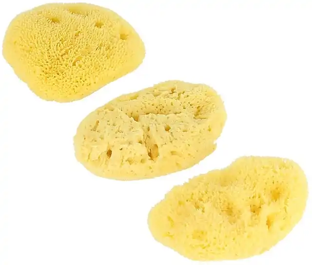 Bath Sponge Set - Accessories