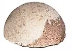 Chocolate Bath Fizzer - Bath and Body