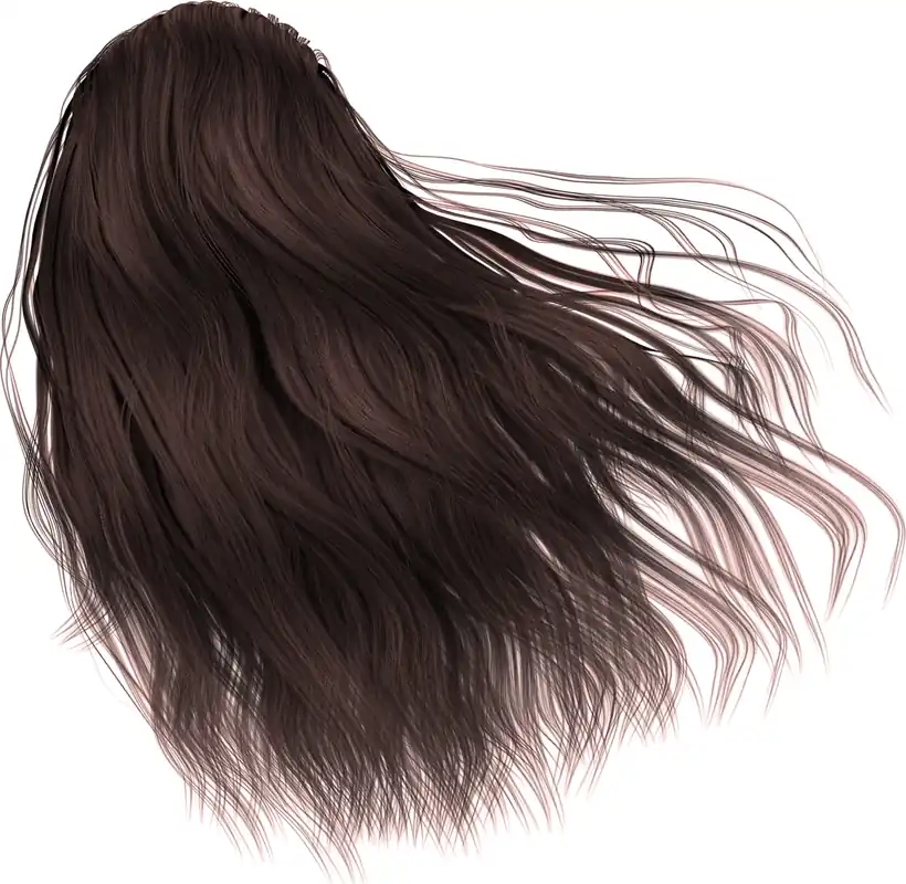 Argan Oil Hair Color