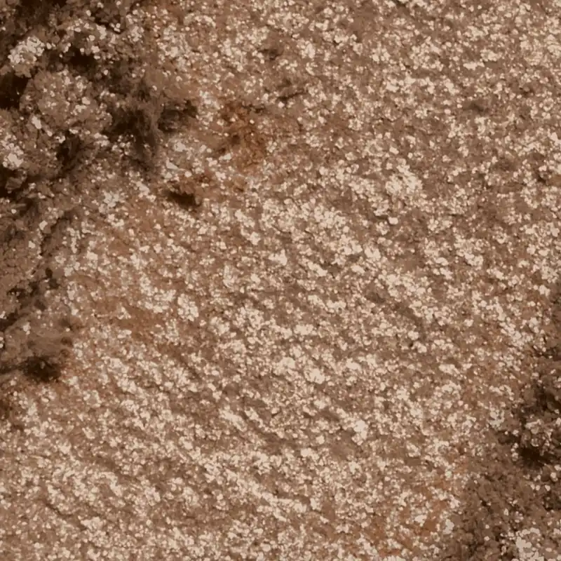 Bell Zodiac Magic Pigment - Makeup