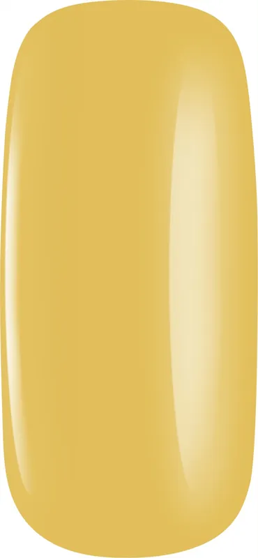 Nail Polish - Nails