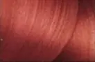 Semi-Permanent Hair Dye Gel