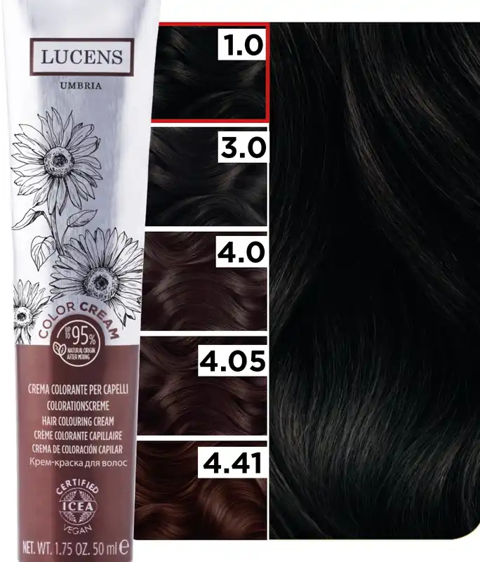 Hair Coloring Set