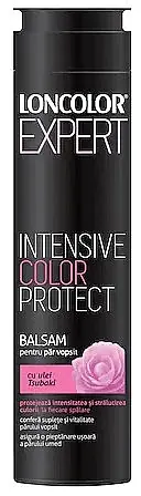 Colored Hair Conditioner