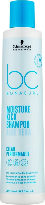 Moisturizing Shampoo for Dry Hair