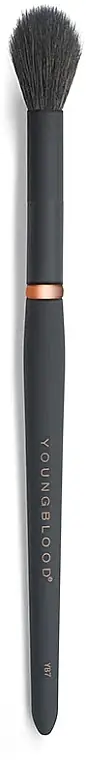 Highlighter Brush - Accessories