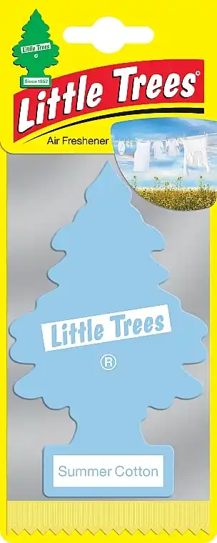 Car air freshener - Bath and Body