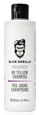 Anti-Yellow Shampoo