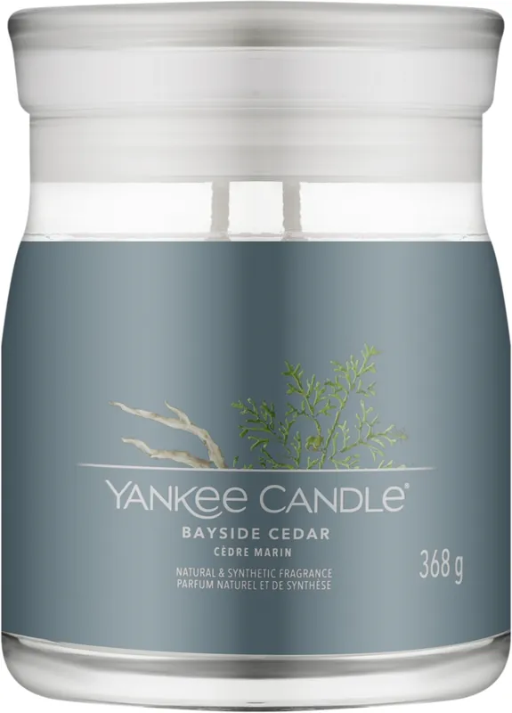 Scented Candle in Jar 'Cedar', 2 wicks - Bath and Body