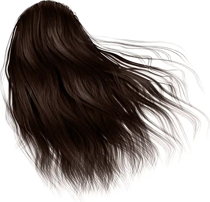 Hair Color