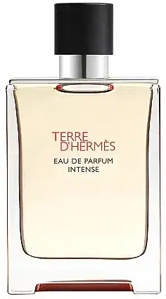 Hermes Terre d'Hermes Eau de Parfum Intense - Perfume