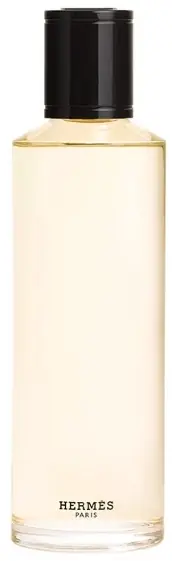 Hermes Terre d'Hermes Eau de Parfum Intense - Perfume