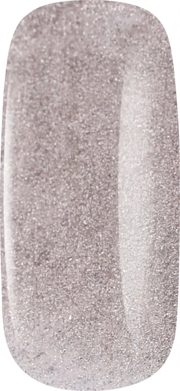 Magnetic Gel Polish - Nails